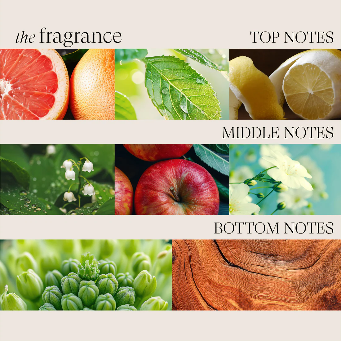 Healing Volume Conditioner