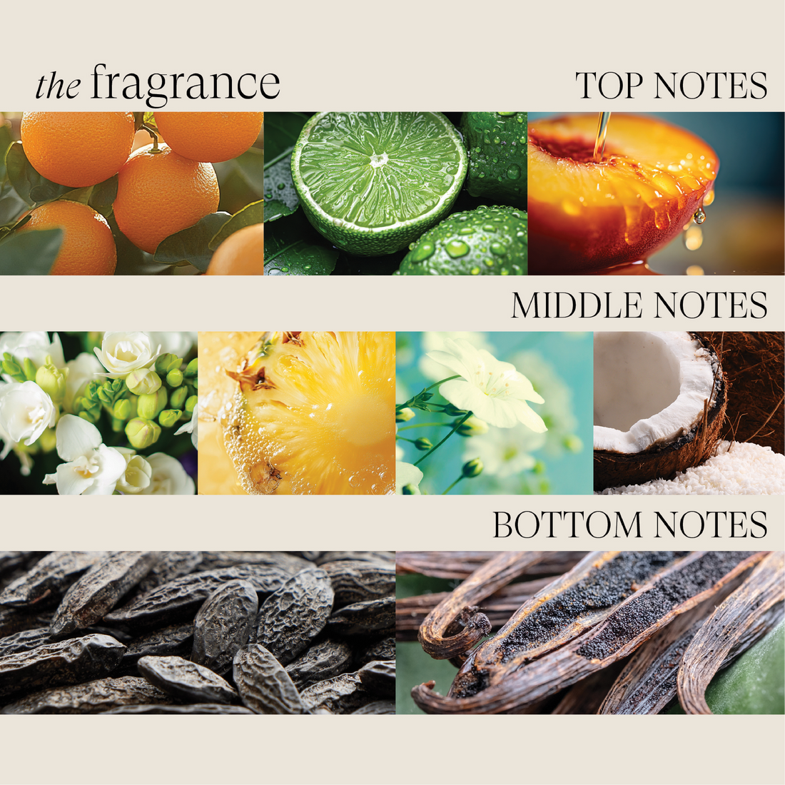 Healing Moisture Shampoo