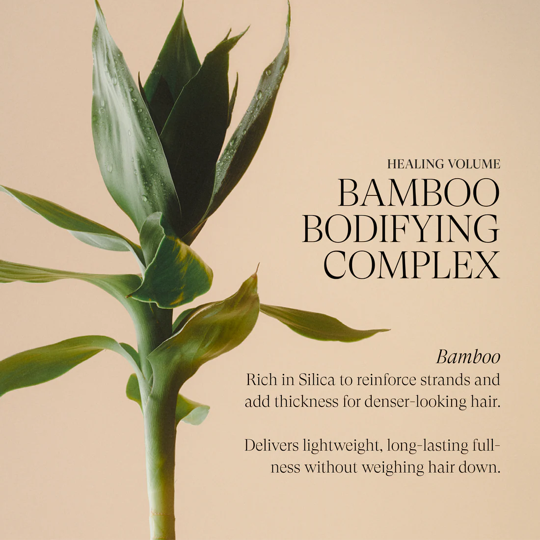 Healing Volume Conditioner