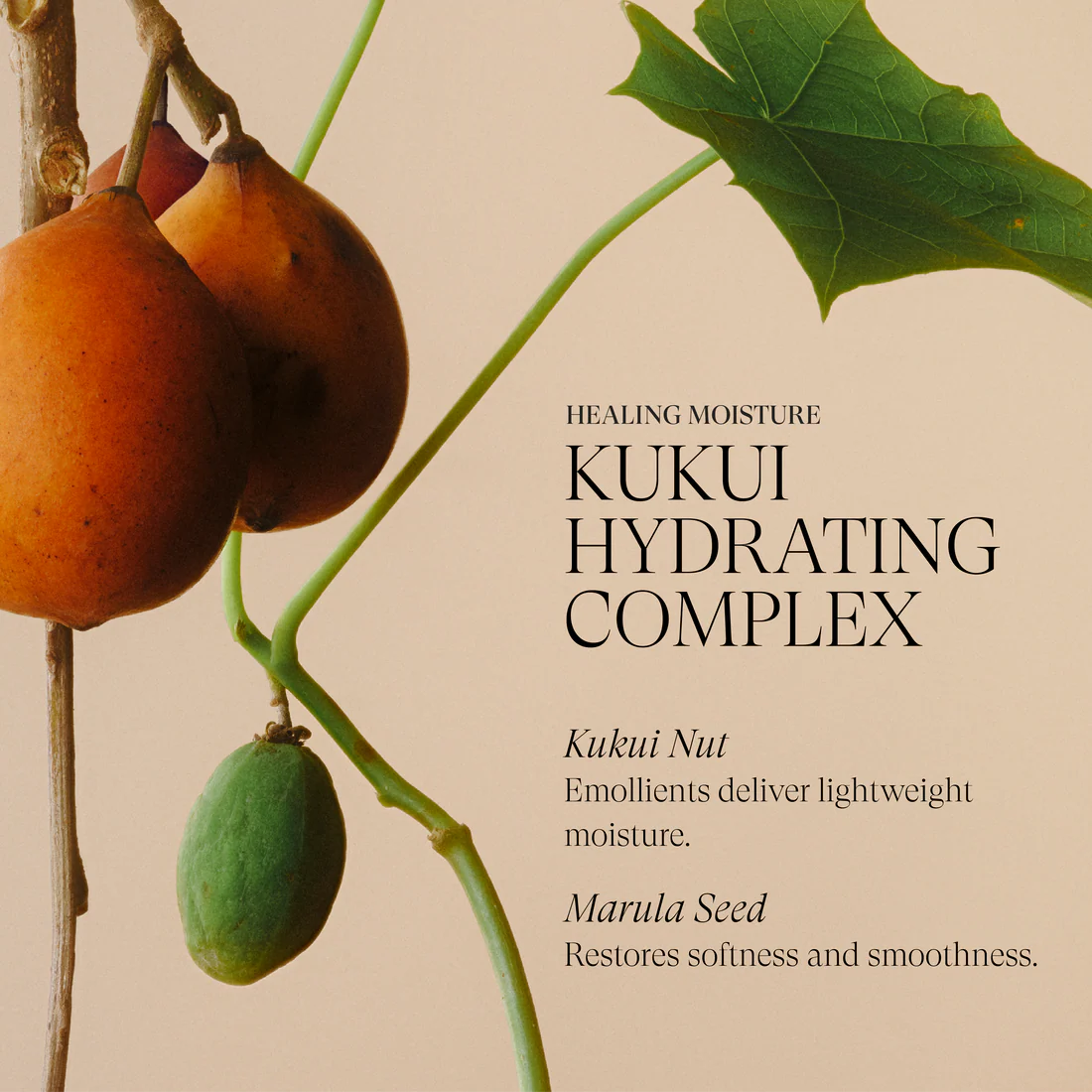 Healing Moisture Conditioner