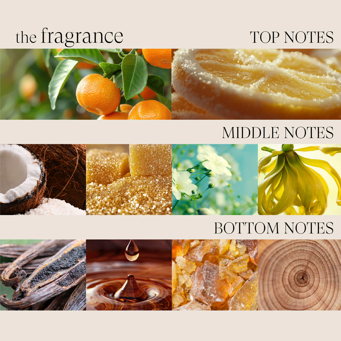 Curl Whirl Defining Creme