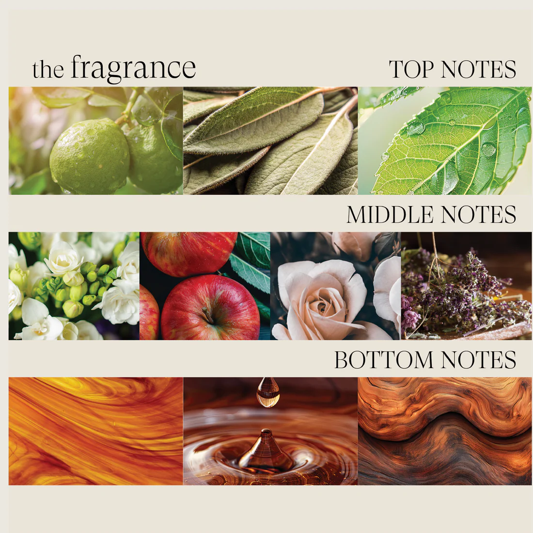 Healing Style AirPaste