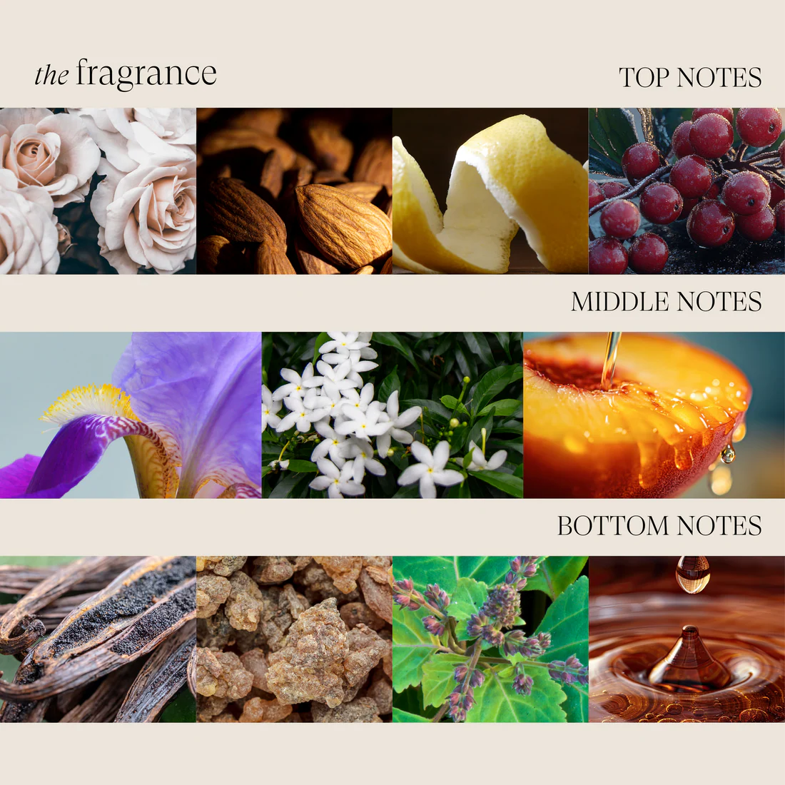 Bond Smoothing Styler