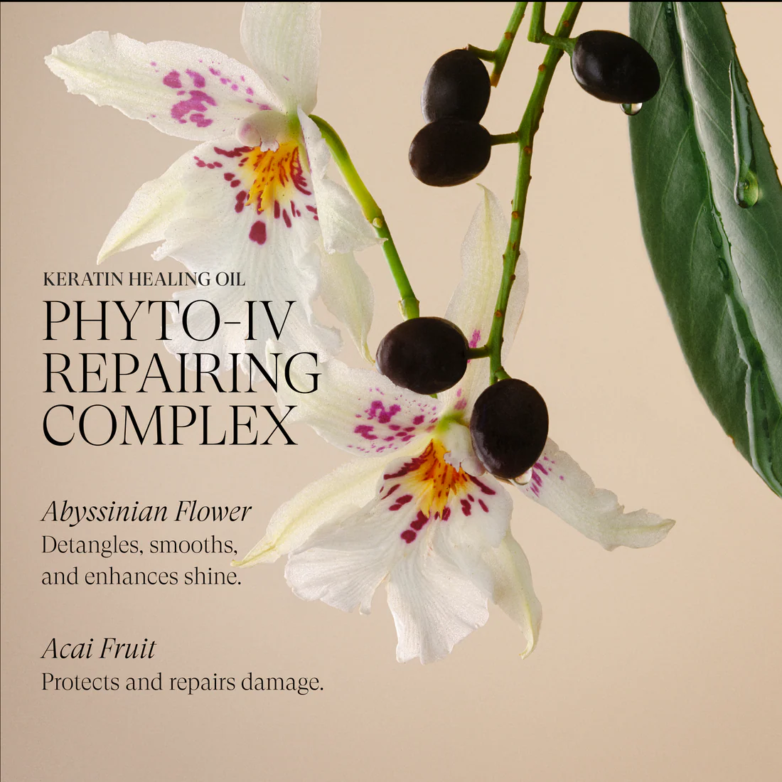 Rapid Bond Reconstructor