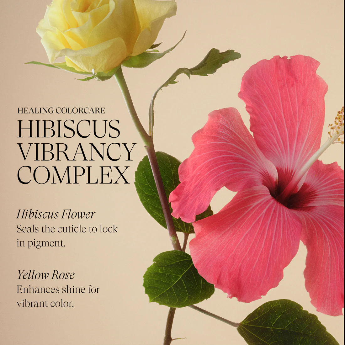 Healing ColorCare Purple Shampoo