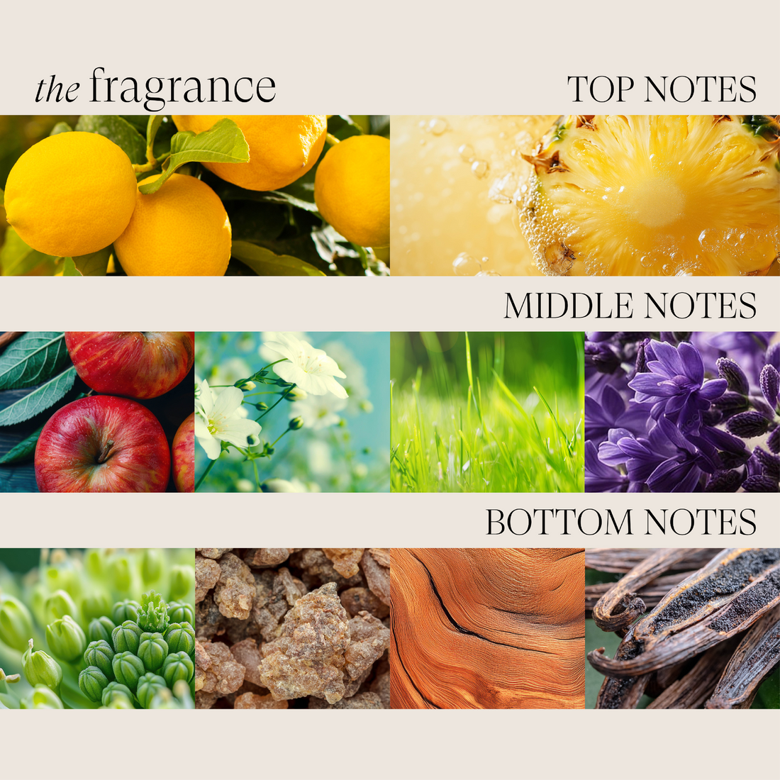 Color Preserving Shampoo