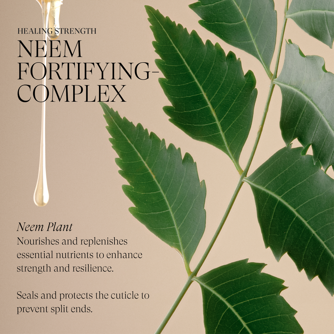 Healing Strength Silk Serum